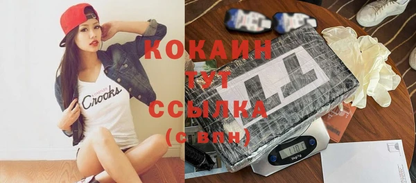 ешки Бронницы