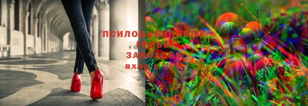 герыч Володарск