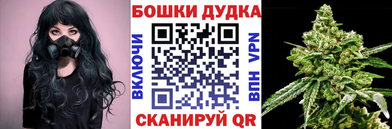 Бошки марихуана Amnesia  наркотики  Инта 